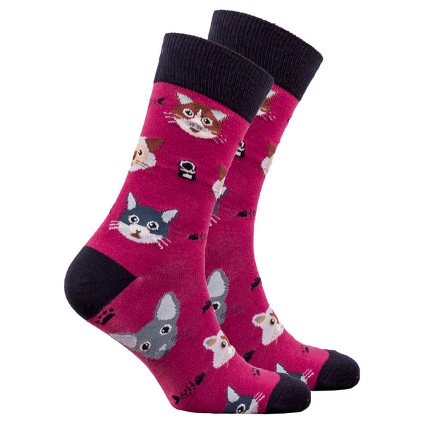 Men's Cute Cats Socks - Socks n Socks